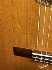 デーン・ハンコック　Dane M. Hancock トーレスモデル　2018年製_9