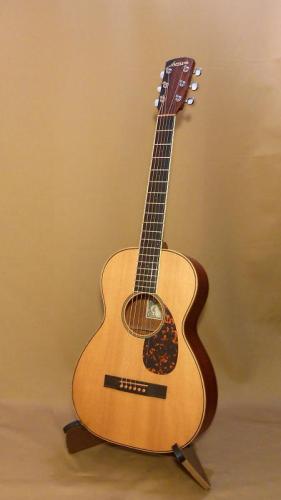 Larrivee P-03