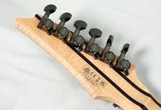 Ibanez 【日本製】【Ibanezの最高峰モデル j.custom】RG8570 -Brownish Sphalerite-《即納可》_10
