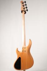 Sadowsky ML24 MS4 ALDER -Natural Transparent Satin- [3.35kg]_4