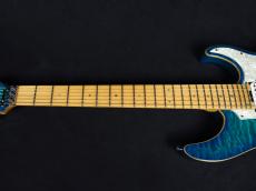 Edwards E-SN-150FR/M Aqua Marine 2011_4