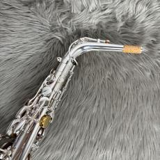 YANAGISAWA PRIMA80 PAVANE A.Sax_2
