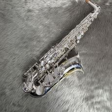 YANAGISAWA PRIMA80 PAVANE A.Sax_8