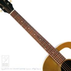 Dolphin Guitars RSD-45 43mm Aged (Gold Top)_5