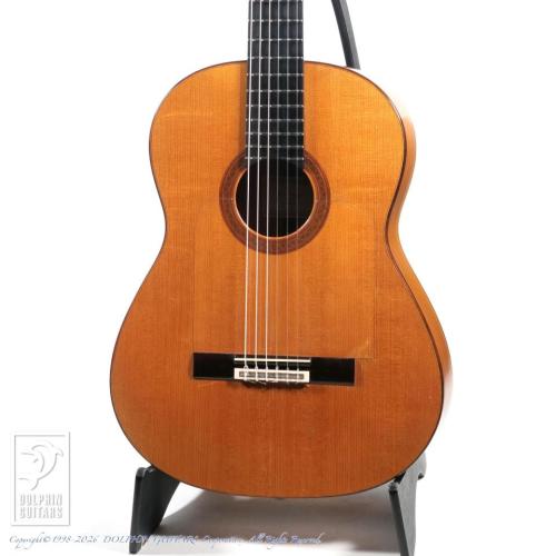 Bernd Martin Flamenco guitar