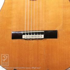 Bernd Martin Flamenco guitar_10