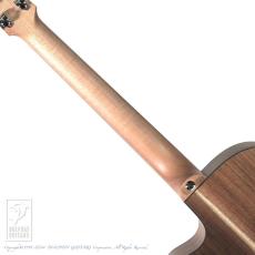 Maton EBW808C　カッタウェイ　_6