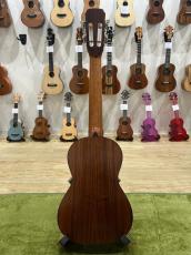 da'h 平川大 ハワイアンコア・テナーウクレレ_5