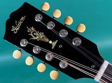 Gibson A-50_5