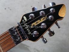 PEAVEY Wolfgang Standard Custom Shop 1'st / Build by John Douglas_2