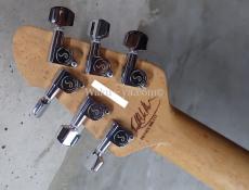 PEAVEY Wolfgang Standard Custom Shop 1'st / Build by John Douglas_5