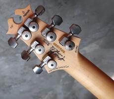 David Thomas McNaught Vintage Single Cut Light Tigers Eye Burst (Premium Diamond Flame)_4