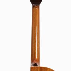 aNueNue aNN-LF230E_9