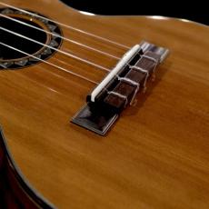 Rin Hayase Concert Custom - Patagonian cypress / Hawaiian koa-_6