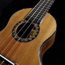 Rin Hayase Concert Custom - Patagonian cypress / Hawaiian koa-_11