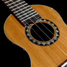 Rin Hayase Concert Custom - Patagonian cypress / Hawaiian koa-_13