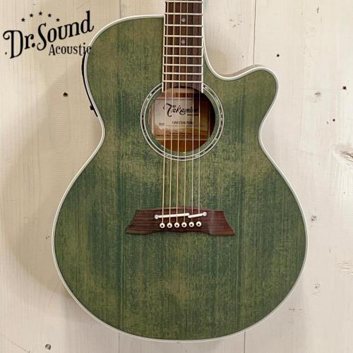 Takamine 『オーダー受付中』TSP138C ~Custom Foliage Green ~