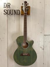 Takamine 『オーダー受付中』TSP138C ~Custom Foliage Green ~_2