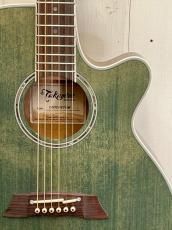 Takamine 『オーダー受付中』TSP138C ~Custom Foliage Green ~_3