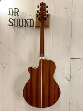 Takamine 『オーダー受付中』TSP138C ~Custom Foliage Green ~_5