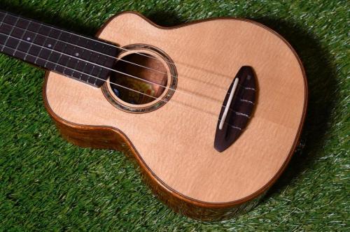 aNueNue US100E Soprano