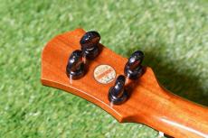 aNueNue US100E Soprano_6