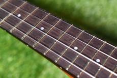 aNueNue US100E Soprano_7