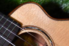 aNueNue US100E Soprano_9