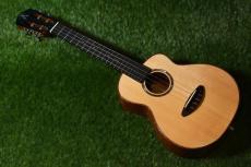 aNueNue UT100E Tenor_2