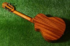 aNueNue UT100E Tenor_4