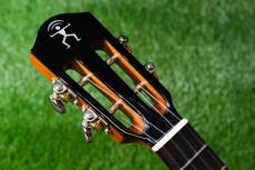 aNueNue UT100E Tenor_5