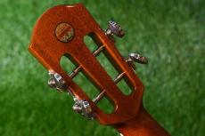 aNueNue UT100E Tenor_6