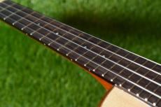 aNueNue UT100E Tenor_7