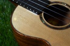 aNueNue UT100E Tenor_10