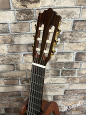 Paco Castillo パコ・カスティージョ Model:203 松・ローズウッド 7/8【新品】 _7
