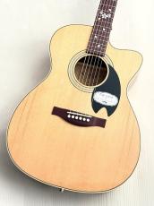 Headway(ヘッドウェイ)、アコースティックギター/エレアコの検索結果1