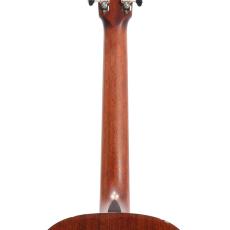 Eastman E1-00SS-DLX-SB_9