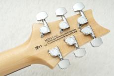 Paul Reed Smith [PRS] 2024 SE CUSTOM 24 ～Blue Matteo～ #CTIG118239 [3.41kg]【48回無金利】_10