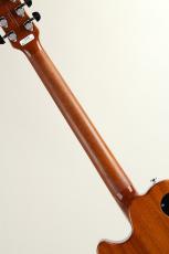 FUJIGEN Expert FLAME-FM / VV -Vintage Violin-【S/N H250771】_6