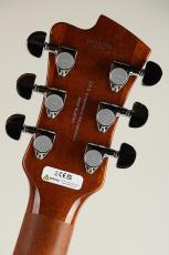 FUJIGEN Expert FLAME-FM / VV -Vintage Violin-【S/N H250771】_8
