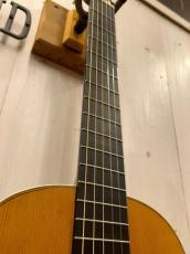 Martin 【新春初売り大バーゲン】1870年~1898年製0-28 ハカランダ【無金利分割OK】【送料込み】_7