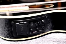 Takamine  【10本限定!薄胴エレガット】 TSP100 KT-N #63050319【ナット幅42mm!】【現物写真】【池袋店在庫品】_6
