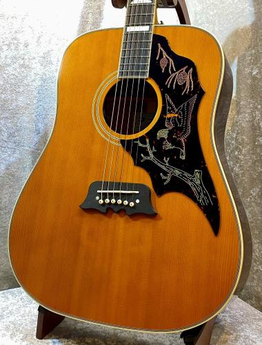 Epiphone Masterbilt Excellente Antique Natural Aged【復刻モデル】【エレアコ】【スクエアショルダー】【池袋店】