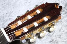 Juan Hernandez 【特典有】Concierto 杉 / ローズウッド 【現物写真】【極上鳴り】【2025年製】【池袋店在庫品】_8