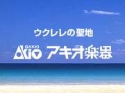 アキオ楽器