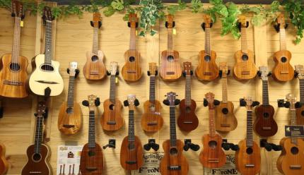 Guitar Shop TANTAN(ギターショップ タンタン)_9